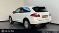 Porsche Cayenne Diesel BI-XENON-PANO-KAM-AHK-PCM Blanc - thumbnail 3