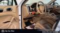 Porsche Cayenne Diesel BI-XENON-PANO-KAM-AHK-PCM Blanc - thumbnail 10