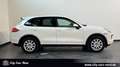 Porsche Cayenne Diesel BI-XENON-PANO-KAM-AHK-PCM Blanc - thumbnail 6