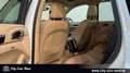 Porsche Cayenne Diesel BI-XENON-PANO-KAM-AHK-PCM Blanc - thumbnail 24