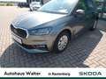 Skoda Fabia 1.0 TSI Selection KLIMA SHZ FSE LED Grau - thumbnail 1