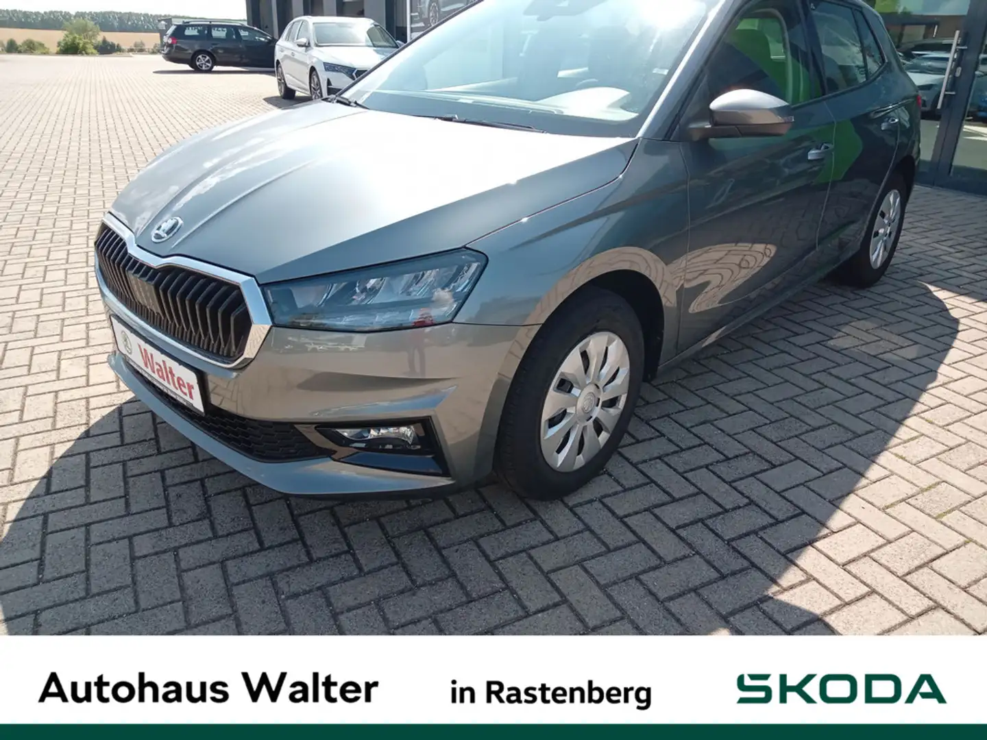 Skoda Fabia 1.0 TSI Selection KLIMA SHZ FSE LED Grau - 1
