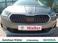 Skoda Fabia 1.0 TSI Selection KLIMA SHZ FSE LED Grau - thumbnail 14