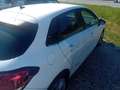 Citroen C4 PureTech 110 Live - thumbnail 3