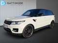 Land Rover Range Rover Sport 3,0 TDV6 HSE Dynamic Weiß - thumbnail 2