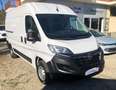 Opel Movano 33 L2H2 2.2 Bluehdi 120cv S&S (Edition) Bianco - thumbnail 2