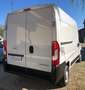 Opel Movano 33 L2H2 2.2 Bluehdi 120cv S&S (Edition) Bianco - thumbnail 5