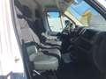 Opel Movano 33 L2H2 2.2 Bluehdi 120cv S&S (Edition) Bianco - thumbnail 9
