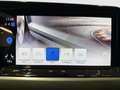 Volkswagen Golf Variant Alltrack TDI DSG Grau - thumbnail 21