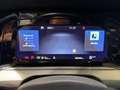 Volkswagen Golf Variant Alltrack TDI DSG Grau - thumbnail 14