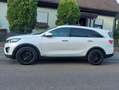Kia Sorento Sorento Diesel 2.2 CRDi AWD Aut. Platinum Edition Weiß - thumbnail 1