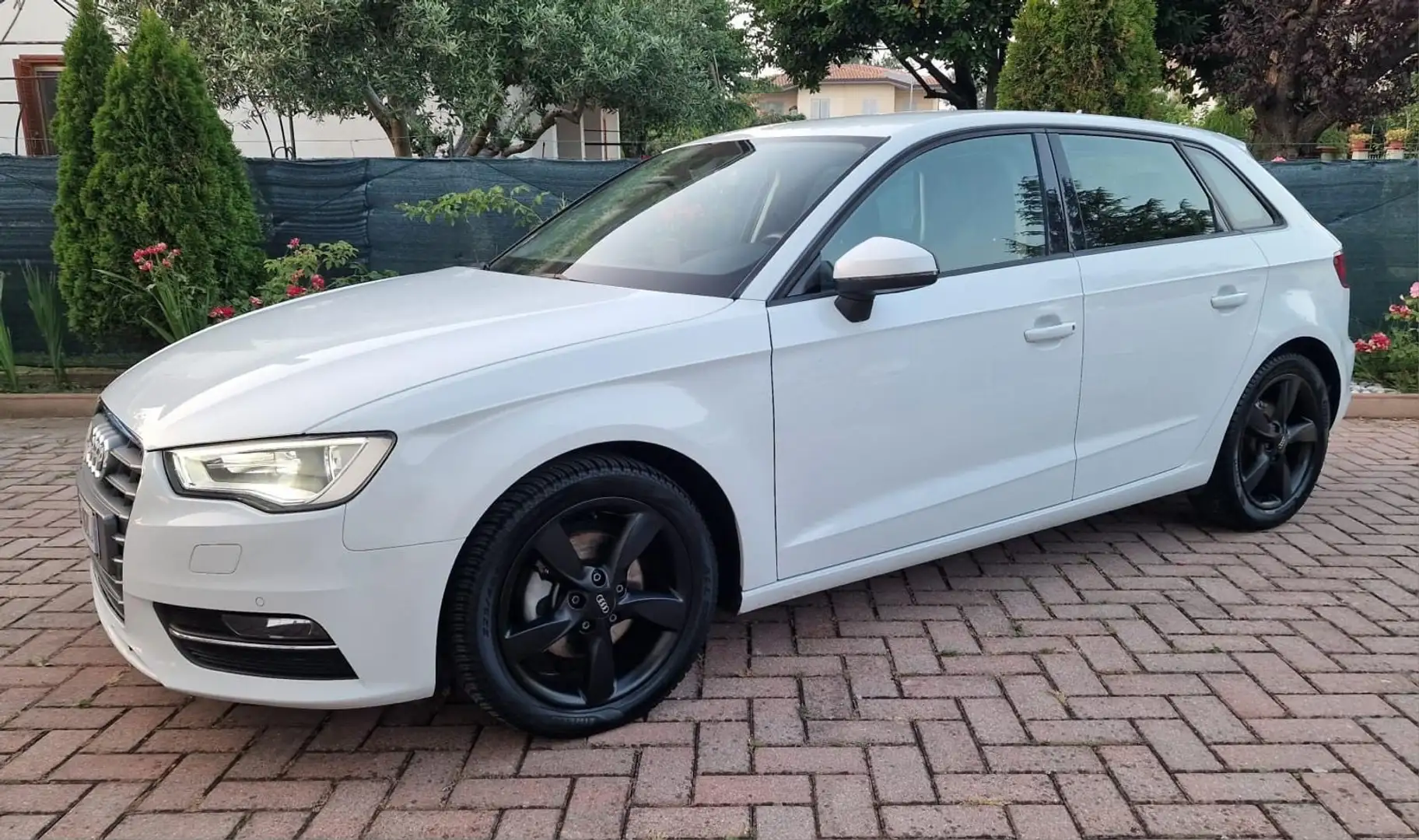 Audi A3 Sportback 1.6 tdi Ambition 110cv s-tronic E6 - 1