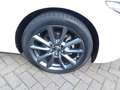 Mazda 3 SKY-G150  Selection  Design-P./Leder/BSM/Kamera/MR Blanc - thumbnail 13