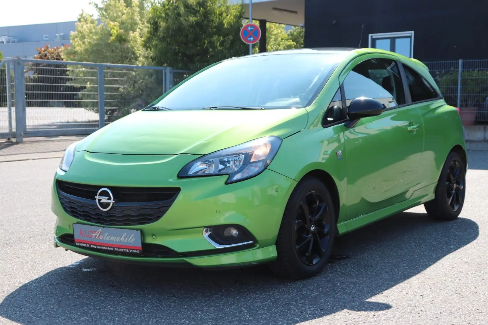 Opel Corsa E Color Edition ecoFlex Grün - 1