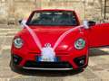 Volkswagen Maggiolino Cabrio 2.0 tdi Sport 150cv - thumbnail 5
