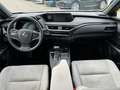 Lexus UX 250h Hybrid Luxury Line Weiß - thumbnail 11
