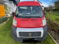 Fiat Ducato L3H2 Rot - thumbnail 6
