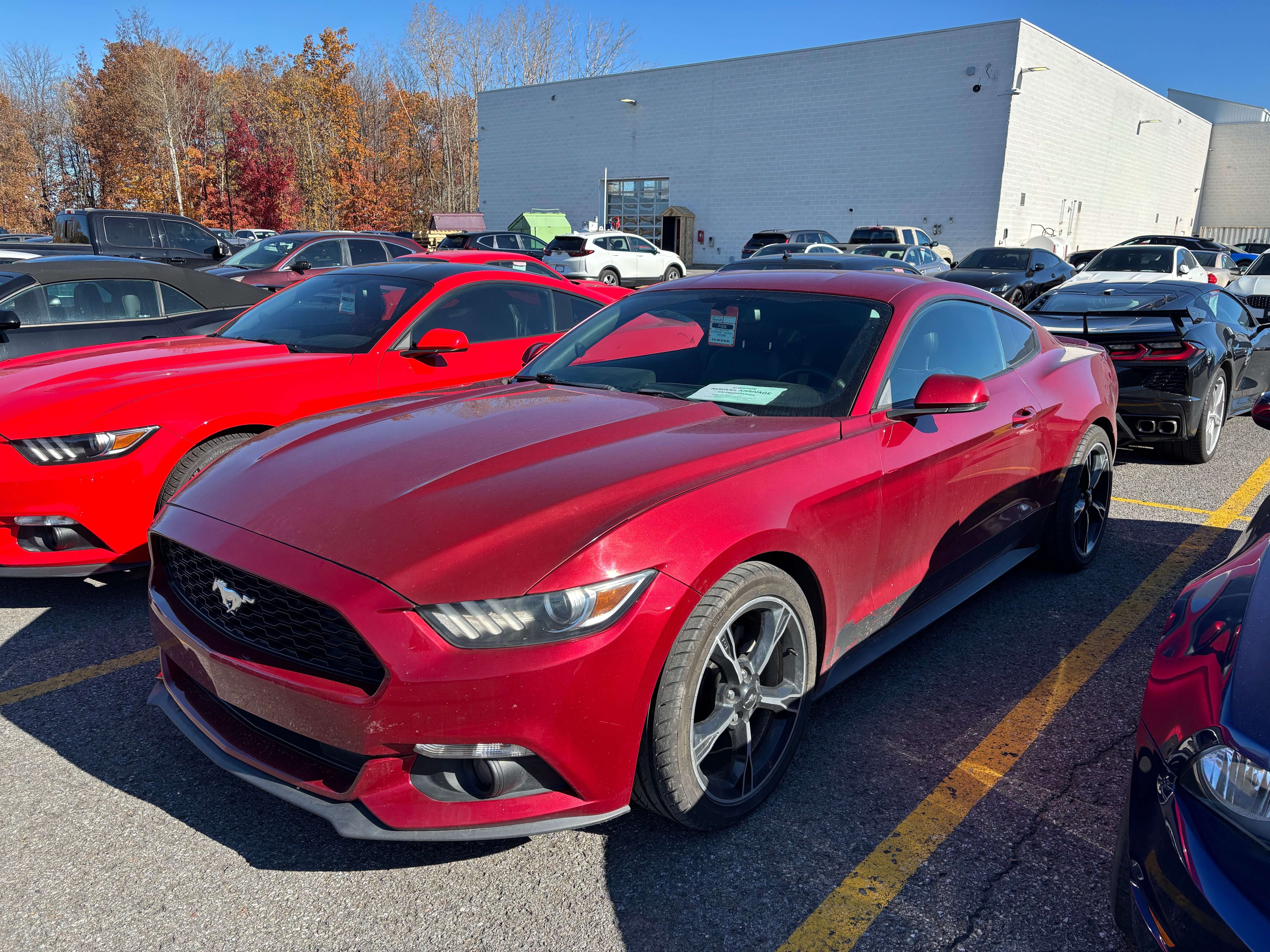2015 Ford Mustang