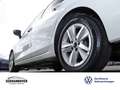 Volkswagen Golf VIII Variant Life 1.5 eTSI DSG LED+SHZ+PDC Weiß - thumbnail 6