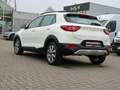 Kia Stonic Vision NAVI LED M+S-Allwetter Blanc - thumbnail 3