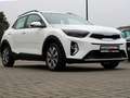 Kia Stonic Vision NAVI LED M+S-Allwetter Blanc - thumbnail 2