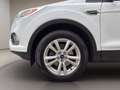Ford Kuga 1.5 tdci Plus s&s 2wd 120cv Bianco - thumbnail 9