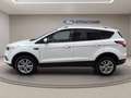Ford Kuga 1.5 tdci Plus s&s 2wd 120cv Bianco - thumbnail 3