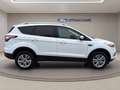 Ford Kuga 1.5 tdci Plus s&s 2wd 120cv Bianco - thumbnail 7