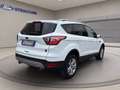 Ford Kuga 1.5 tdci Plus s&s 2wd 120cv Bianco - thumbnail 4
