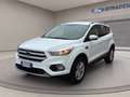 Ford Kuga 1.5 tdci Plus s&s 2wd 120cv Bianco - thumbnail 1
