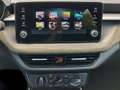 Skoda Fabia Selection 1.0 TSI Einparkhilfe CarPlay Shz Schwarz - thumbnail 9