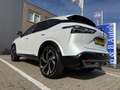 Nissan Qashqai 1.3 MHEV 158pk Xtronic Tekna Plus l PANO-DAK l ACC Wit - thumbnail 23