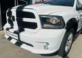 Dodge RAM Ram Weiß - thumbnail 7