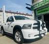 Dodge RAM Ram Weiß - thumbnail 3