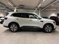 Renault Koleos Initiale Paris 4x4 Klima Navi Rückfahrkamera Weiß - thumbnail 5