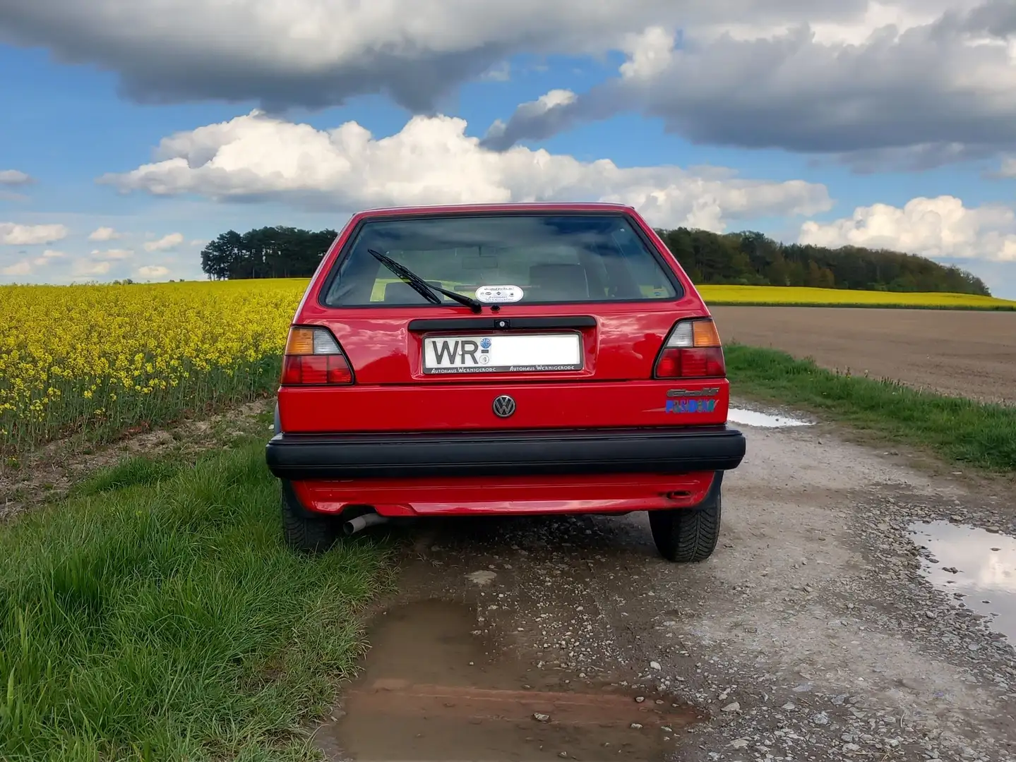 Volkswagen Golf Golf Pasadena Rot - 2