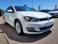 Volkswagen Golf VII Lim. 1.2 TSI DSG Cup BMT Standheizung+DYNAUDI Weiß - thumbnail 3