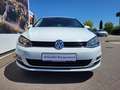 Volkswagen Golf VII Lim. 1.2 TSI DSG Cup BMT Standheizung+DYNAUDI Weiß - thumbnail 2