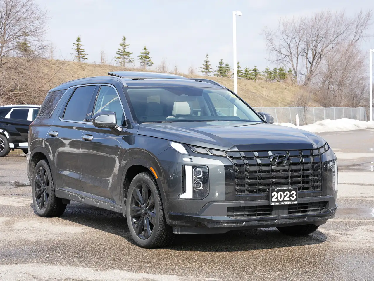Hyundai PALISADE снимка Hyundai PALISADE