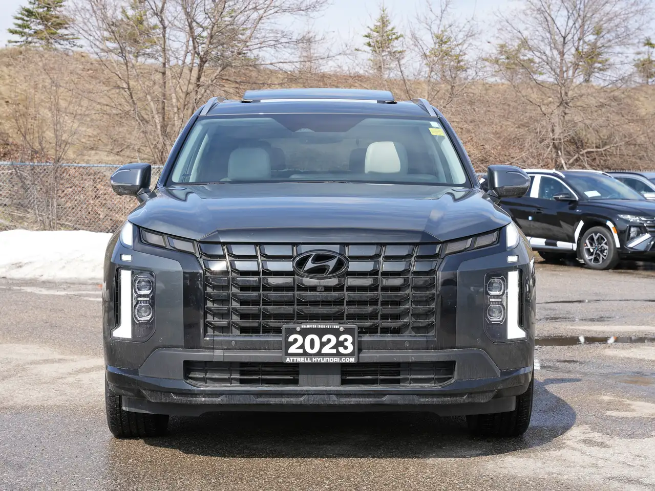 Hyundai PALISADE снимка Hyundai PALISADE
