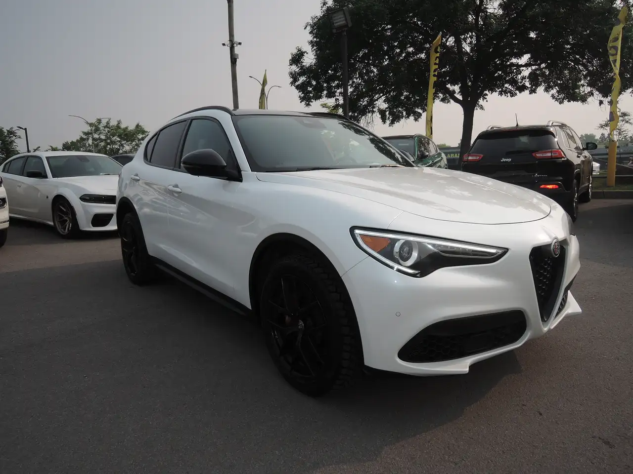 2019 Alfa Romeo Stelvio