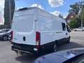 Iveco Daily 2.3D Turbo 136CV L4H1 *7 PLACES*CLIM*CRUISE*LIMIT* Wit - thumbnail 6