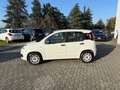 Fiat Panda Panda 1.3 MJT 95 CV S&S Lounge Weiß - thumbnail 6