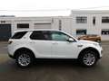 Land Rover Discovery Sport 2.0 TD4+4X4+CUIR+GPS+CAMERA+TOIT PANO+++ Bianco - thumbnail 5