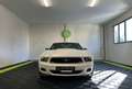 Ford Mustang V 3.7 V6 BVA 310 cv / HOMOLOGUEE FRANCE / TRES FAIBLE KILOMETRAGE Белый - thumbnail 8
