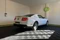 Ford Mustang V 3.7 V6 BVA 310 cv / HOMOLOGUEE FRANCE / TRES FAIBLE KILOMETRAGE Белый - thumbnail 5