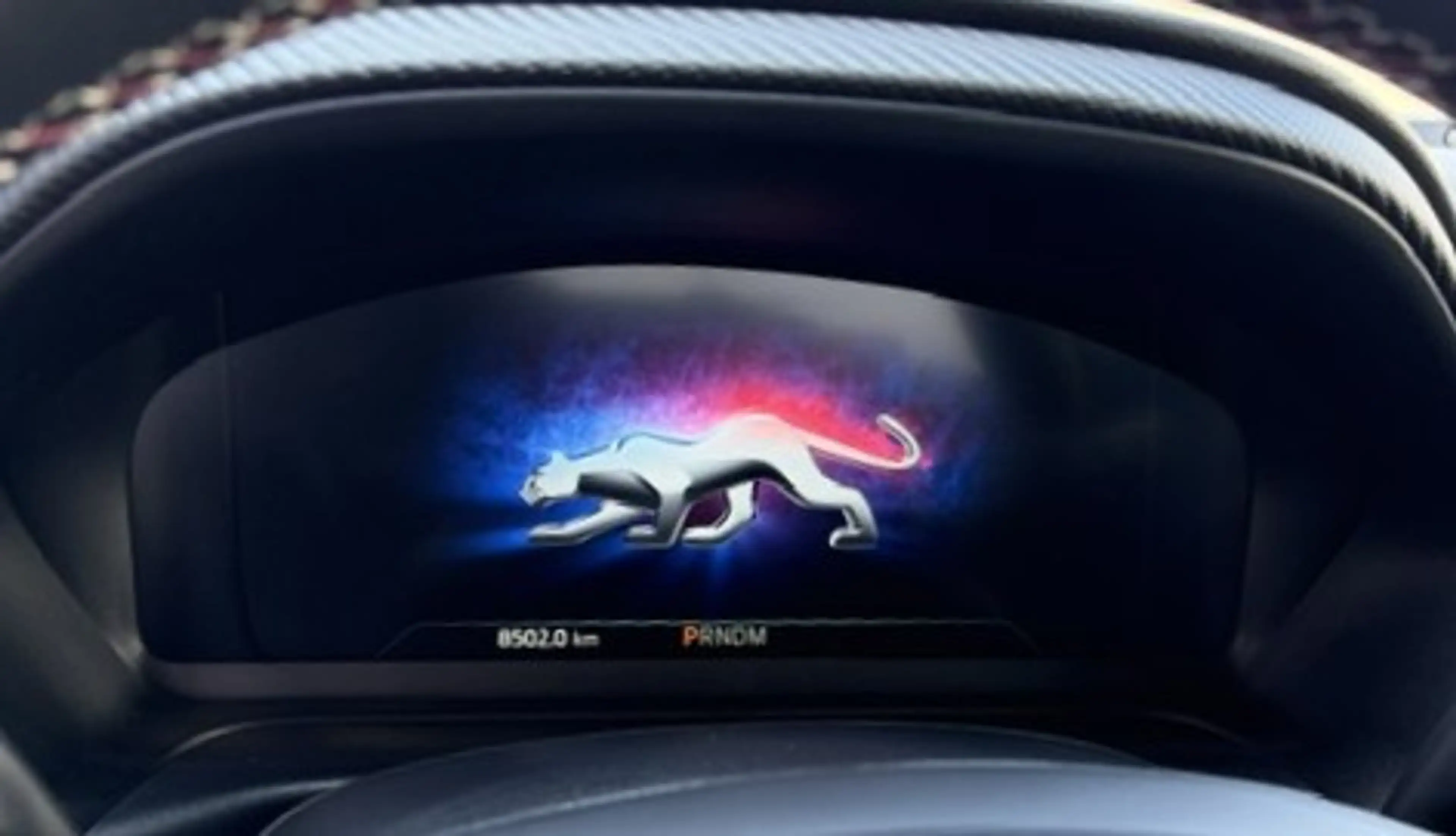 Ford Puma Vivid Ruby Edition — photo 13