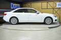 Audi A4 Advanced 35 TDI 120kW 163CV S tronic Weiß - thumbnail 19
