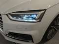 Audi A5 Sportback 40 TDI quattro Sport S tronic 140kW Blanco - thumbnail 14