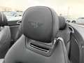 Bentley Continental GTC GTC V8 4.0 / TOURING / MULLINER /21 Gris - thumbnail 22
